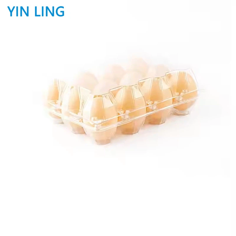 Clear Plastic Egg Cartons