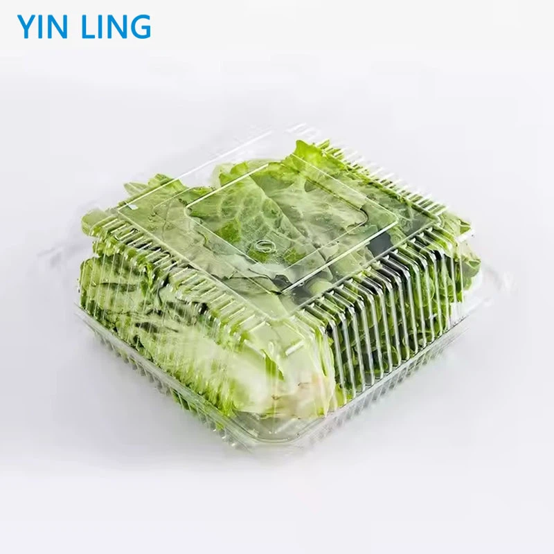 Transparent Vegetable Plastic Packaging Box